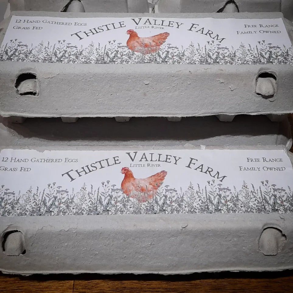 Chicken Eggs