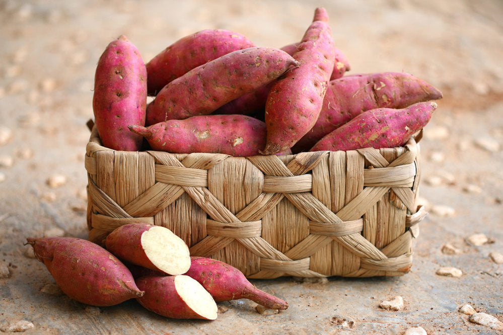 Red Kumara