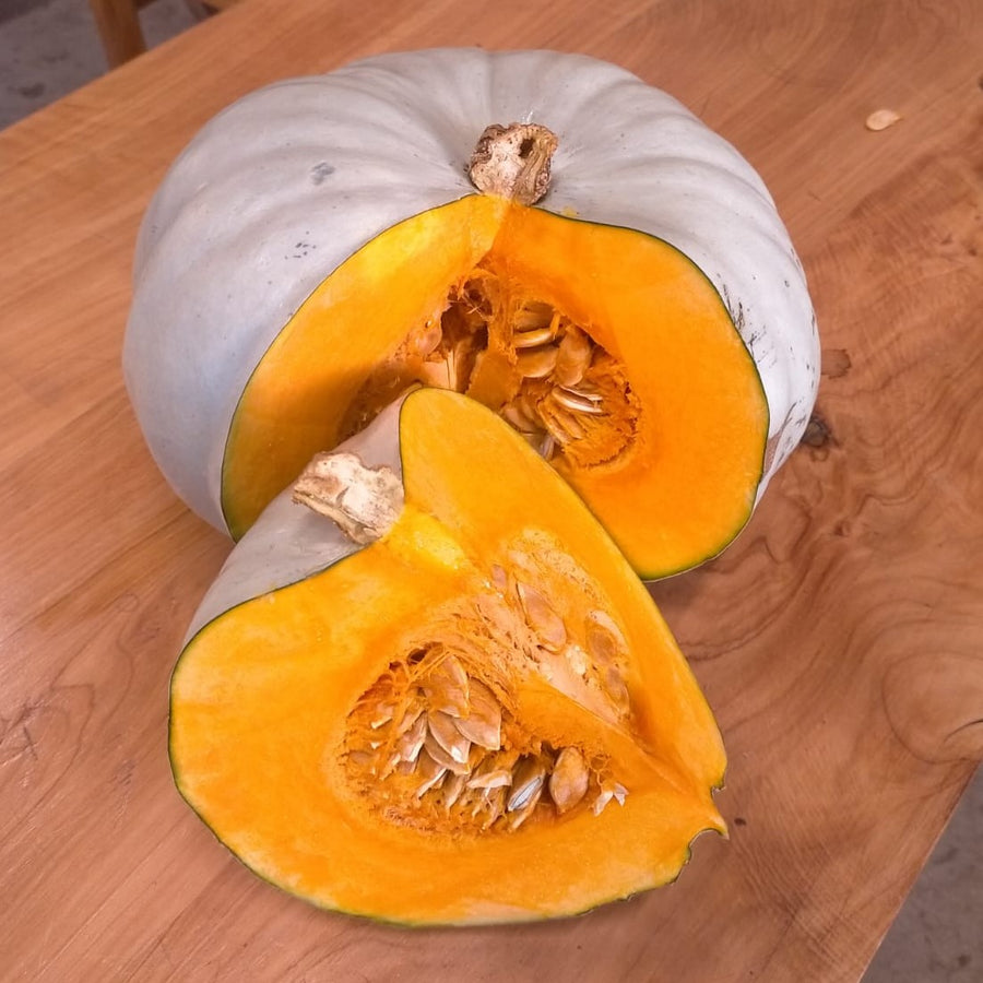 Pumpkin