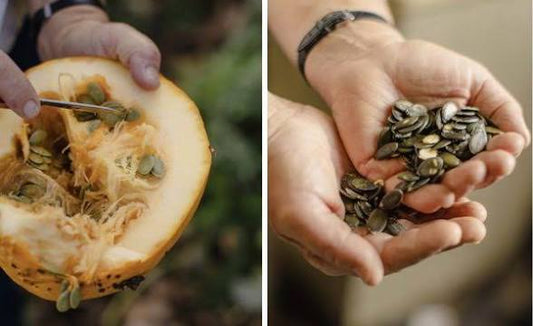 Pumpkin seeds