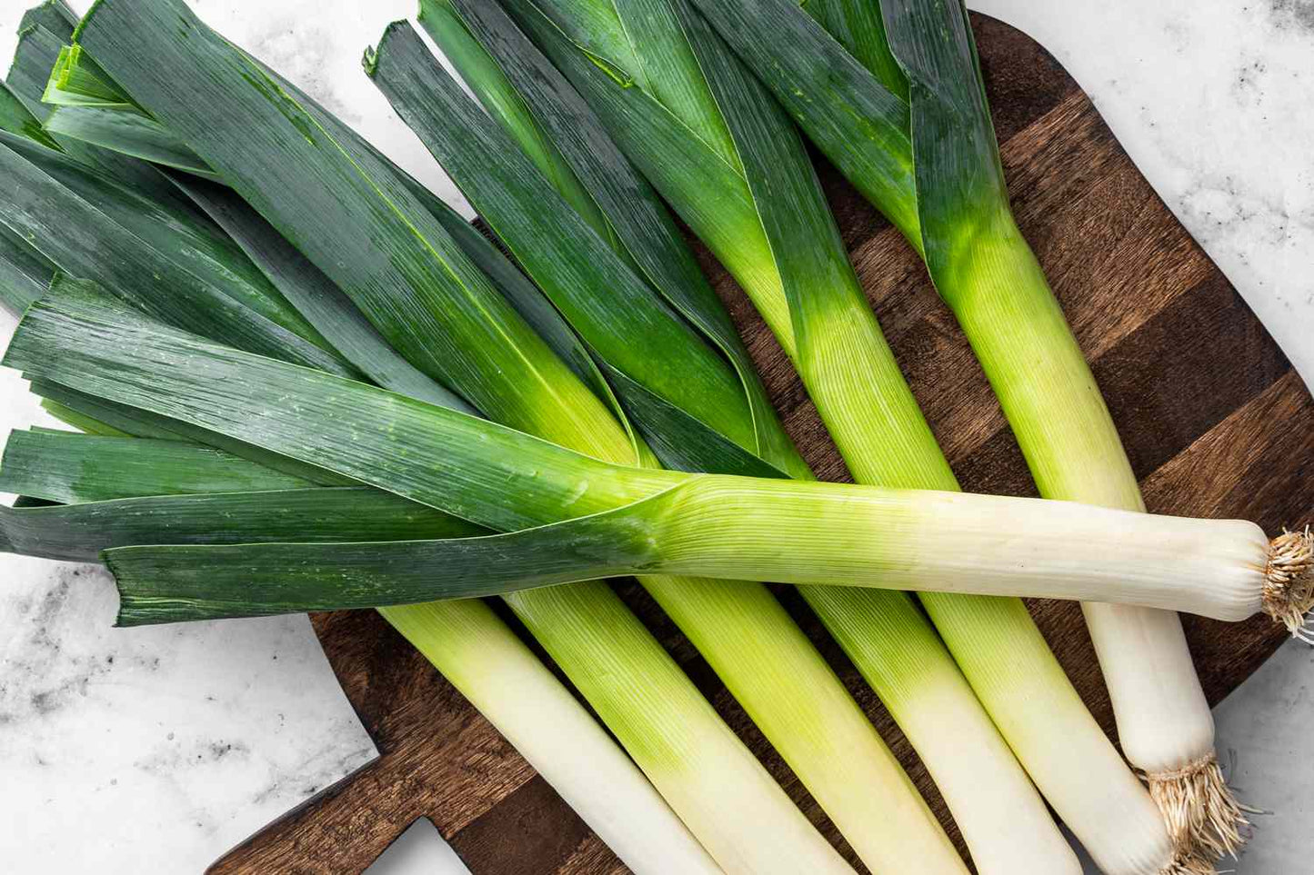 Leek