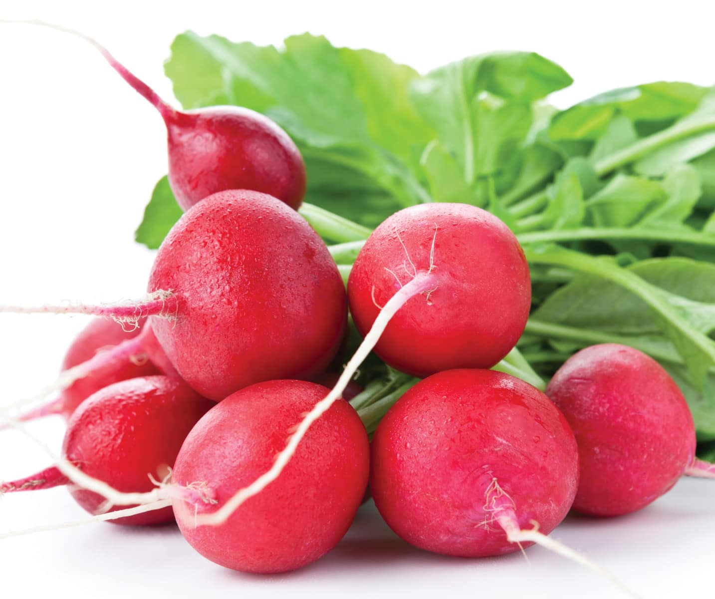 Radishes (bunch)