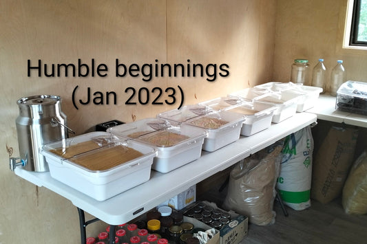 How I Started Nomad Wholefoods (And What I’d Do Differently)
