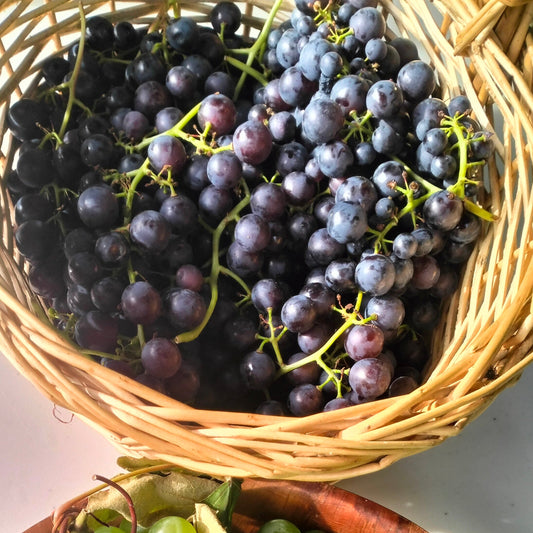 Table Grapes (black)