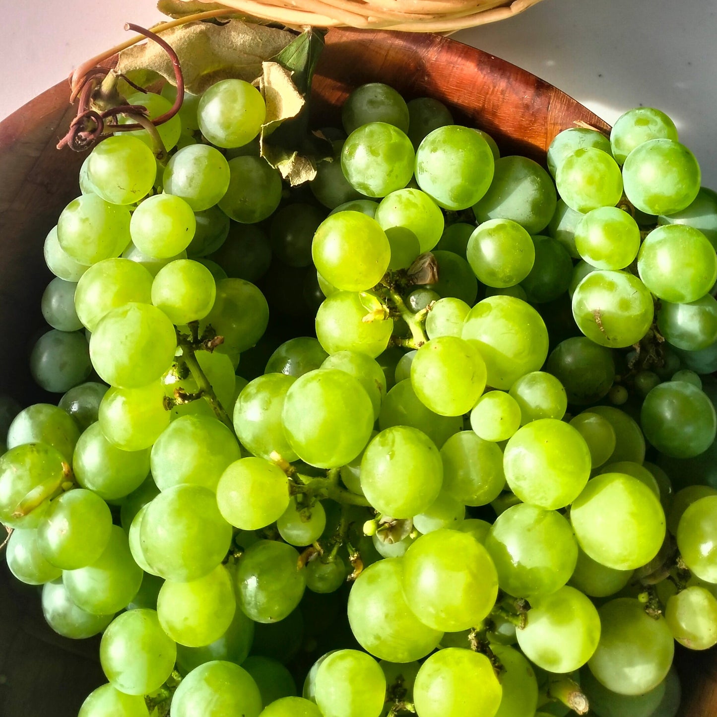 Table Grapes (green)