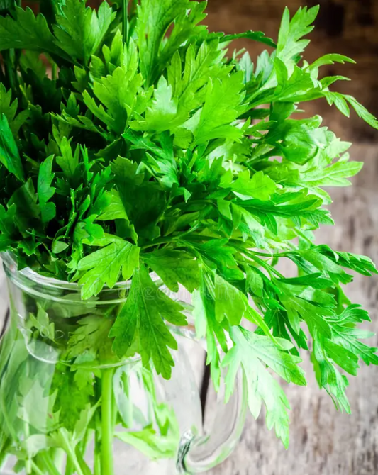 Parsley (punnet)