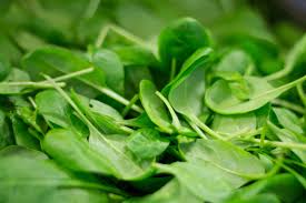 Baby spinach