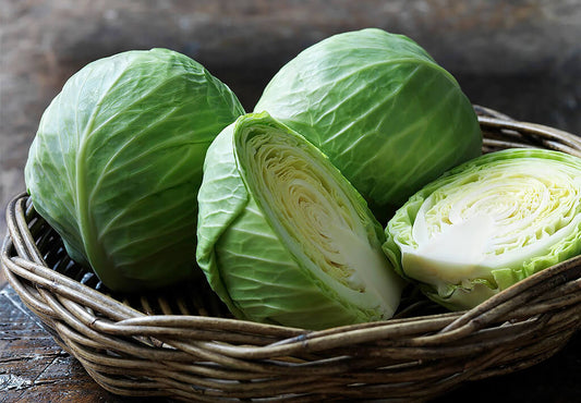Green Cabbage