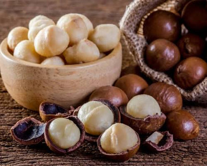 Macadamia nuts