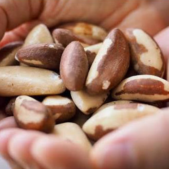 Brazil nuts