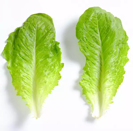 Lettuce leaf 150g bag