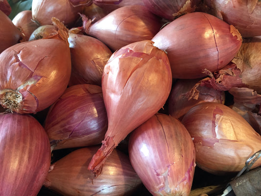 Shallots